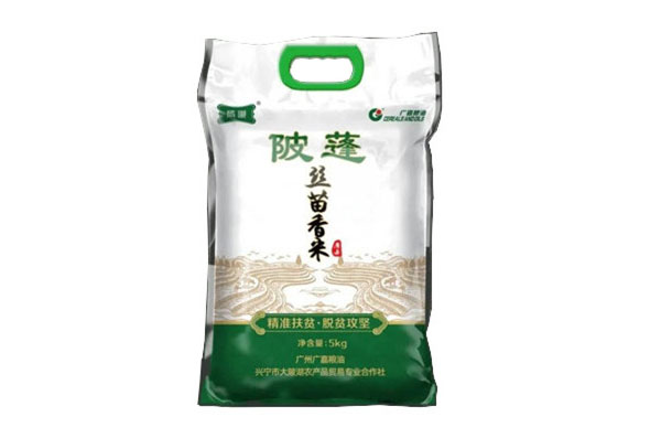 陂蓬絲苗香米
