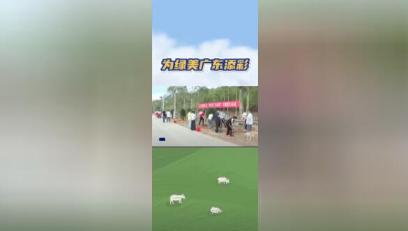 為綠美廣東添彩